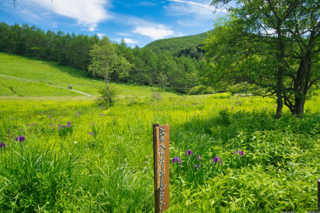 View from Fujimi Panorama gondola summit station Japanese Alps