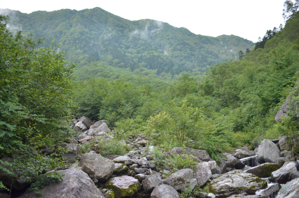 Okabasawa valley stream along Kitadake climbing route, Southern Japan Alps
