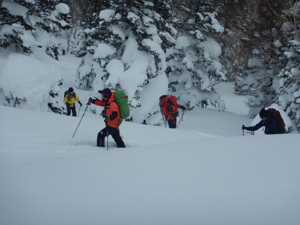 Skier breaking trail through chest-deep powder snow in forested terrain on Ura-Iwate