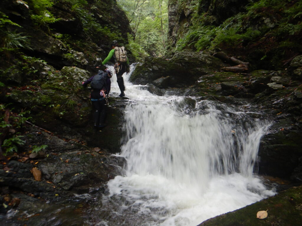 Early morning stream section with clear water in Suginomorisawa Samata, Omonogawa system