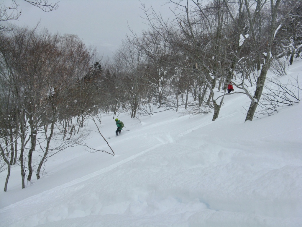 Final ski descent from Mitsuishi-yama circuit back to Gentaga-dake trailhead through powder snow