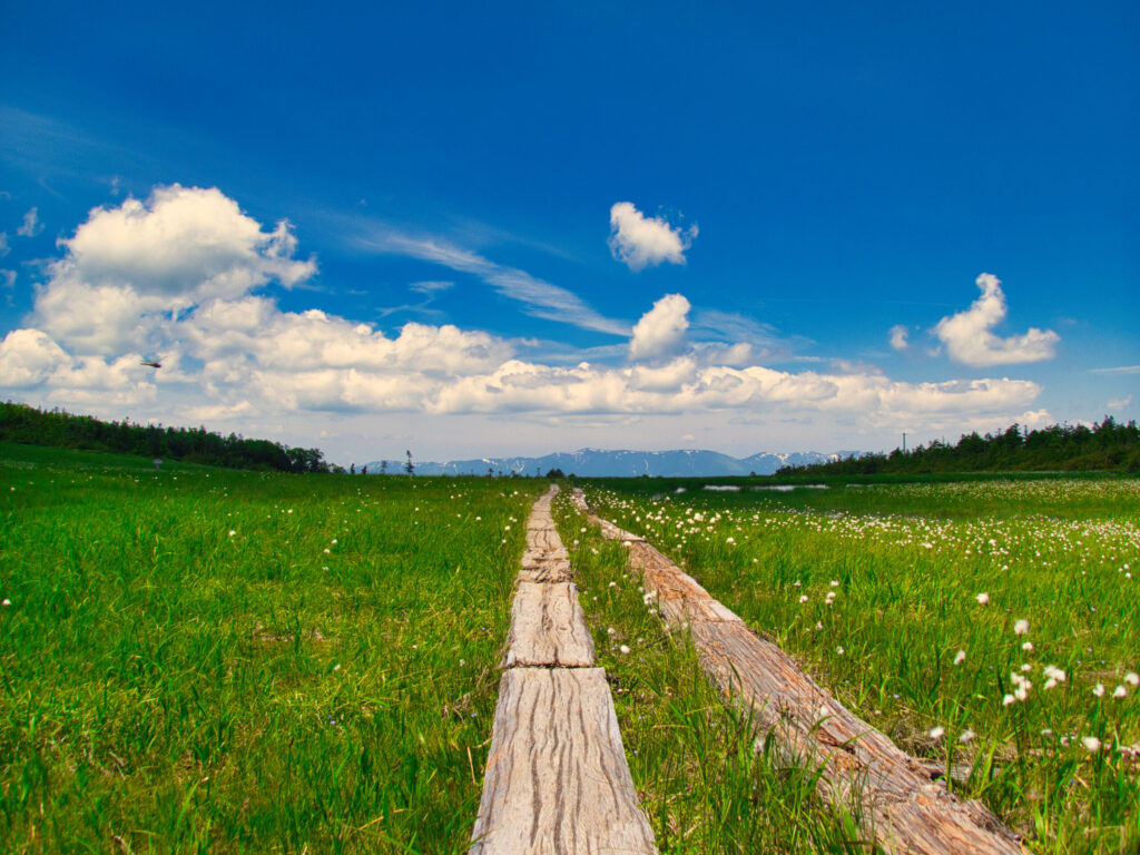 View from Tashiro-yama summit showing wetland boardwalks and distant mountains with snow