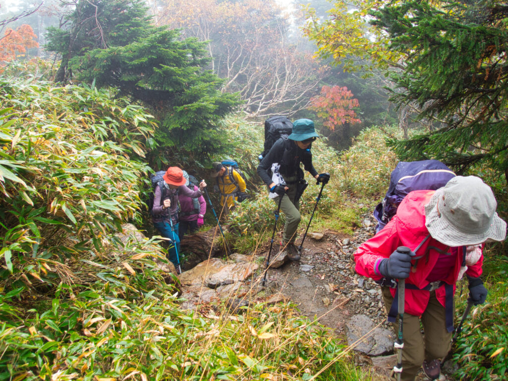 Forest path approaching Mikadoguchi Mt. Hayachine climbing route