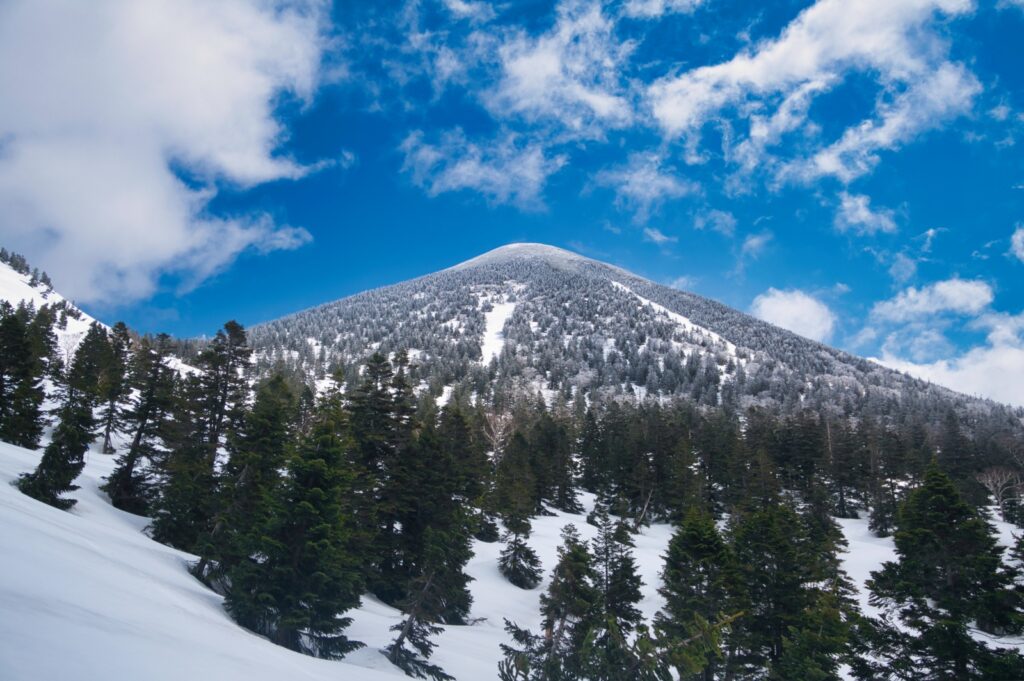 Ski mountaineers ascending through beech forest with climbing skins toward Mt. Takadaodake col
