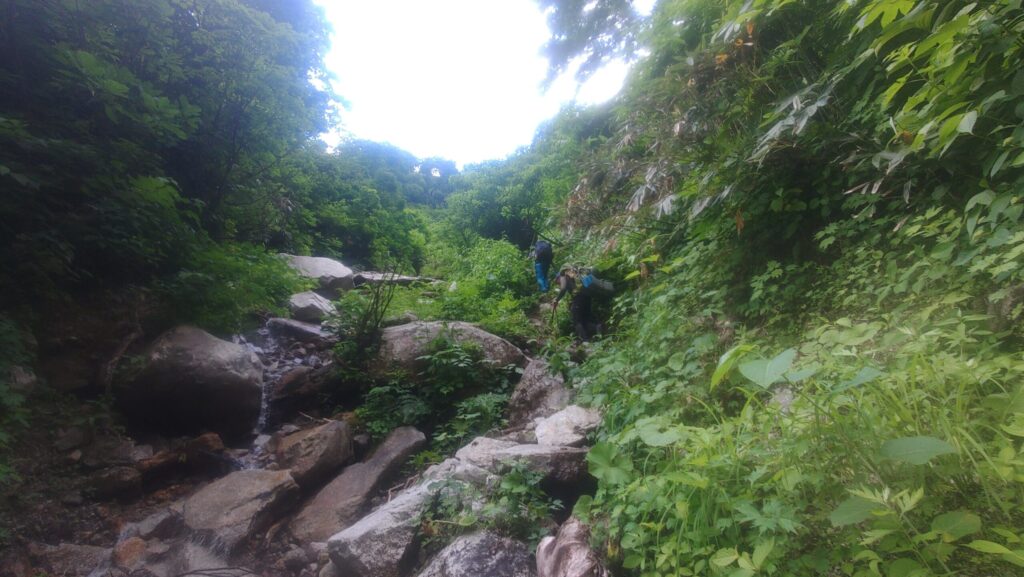 Climbers walking the final long forest road section along Shirahagi River during descent from Mt. Tsurugi