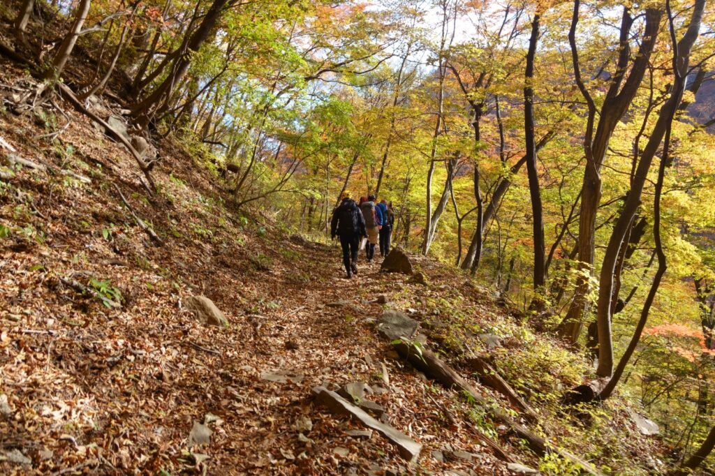 Old Nakasendo historic trail descent path Gunma Japan