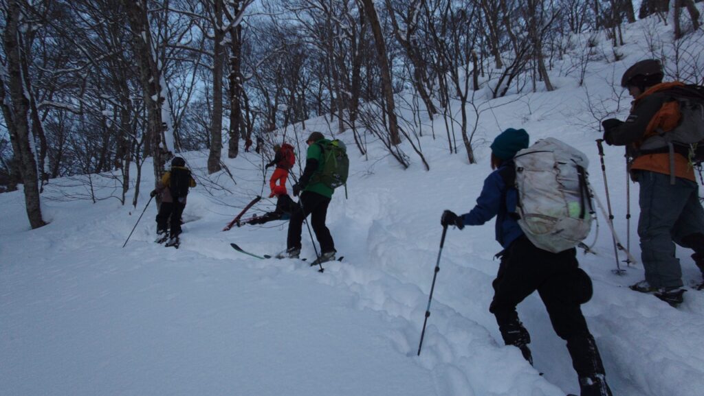 
Ski mountaineering team preparing gear at trailhead in Funagata Mountains winter