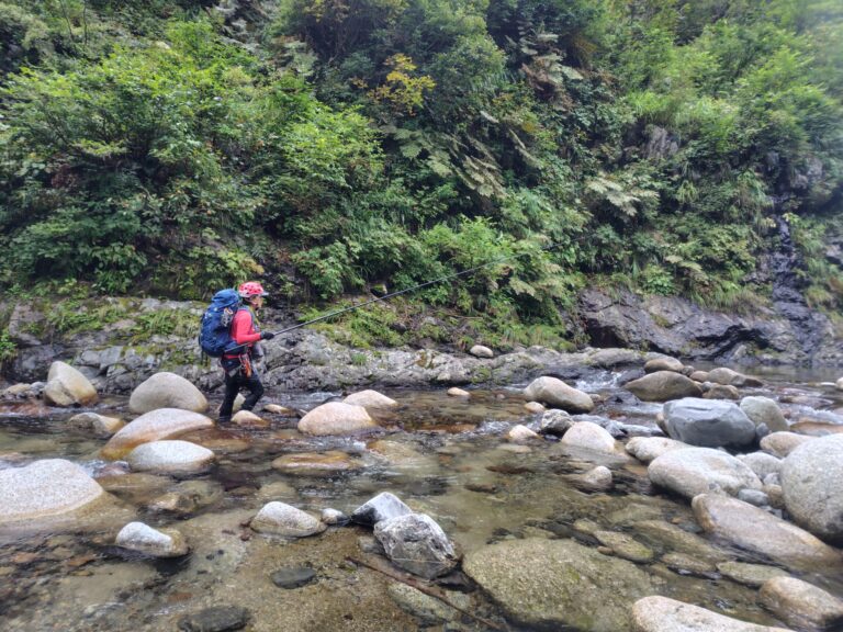Tenkara fly fishing for iwana Japanese char Naranokisawa Iide Mountains stream