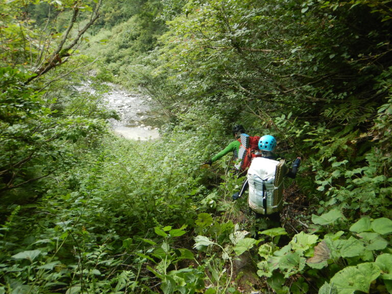Steep forested ridge approach Agemaino-Katchi Iide Mountains sawanobori Japan