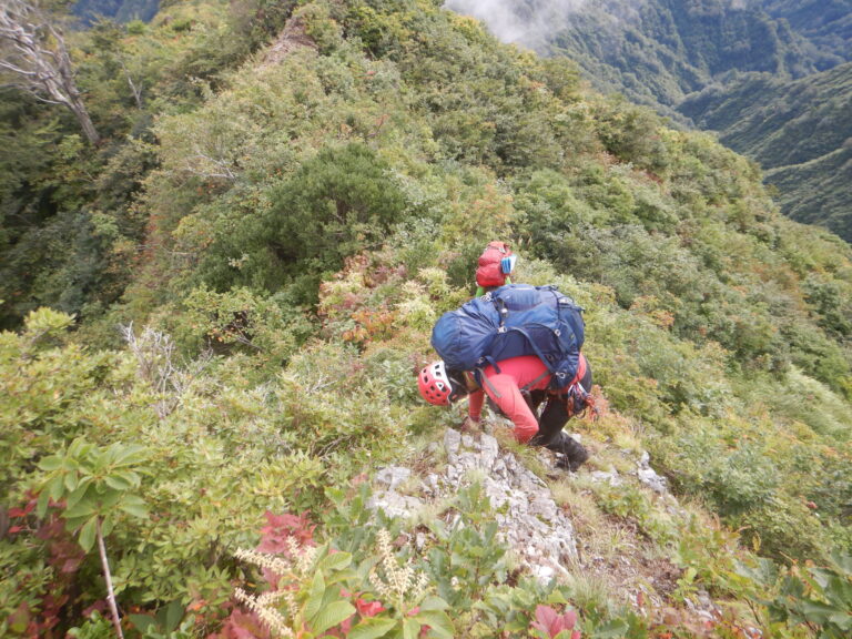 Dense brush yabukogi Day 3 abandoned ridge Iide Mountains Japan bushwhacking