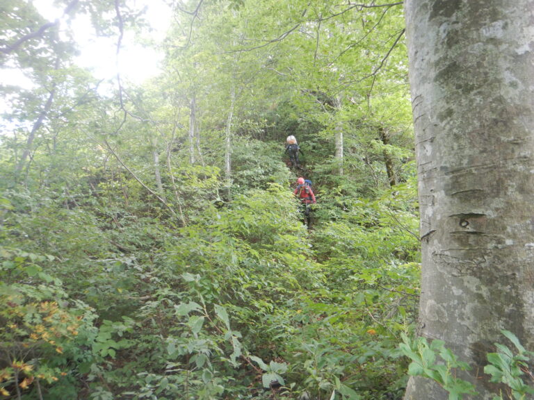 Descent from Kuroishi-yama abandoned trail Iide Mountains Japan Day 3