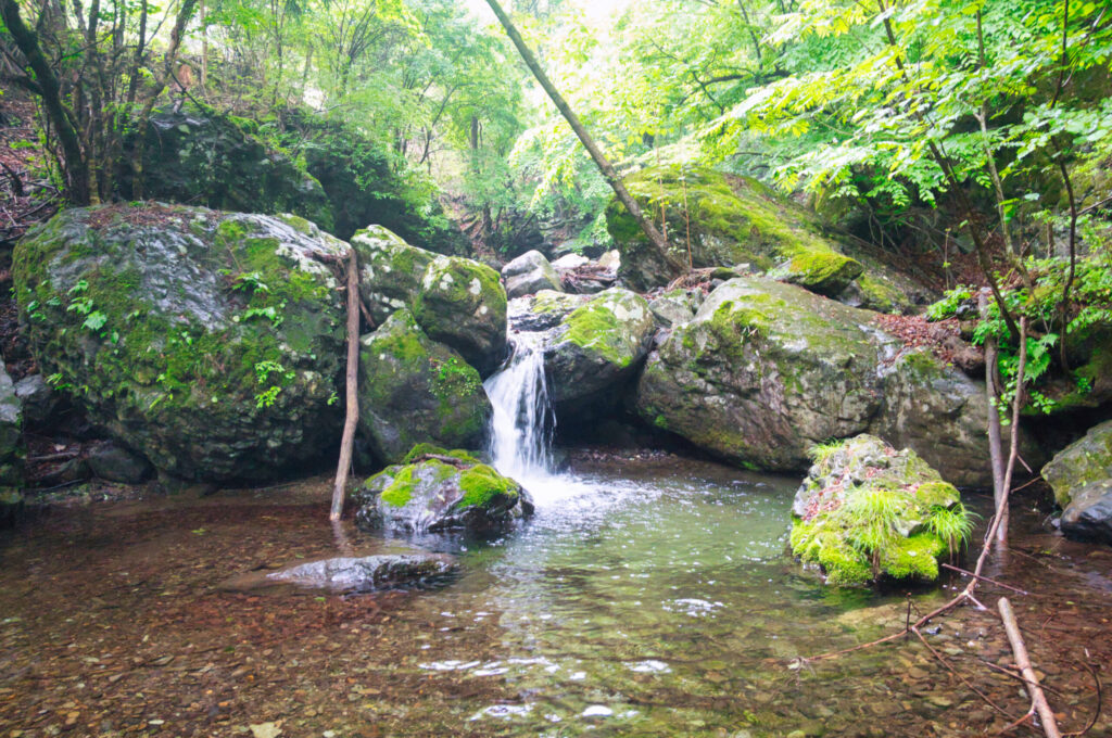 Stream entry point at 420m elevation on Aizawa-gawa, Arafune-yama, Japan