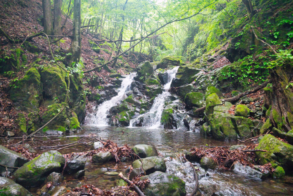 Twin-stepped cascade at 650m elevation on Aizawa-gawa gorge, Arafune-yama, Japan