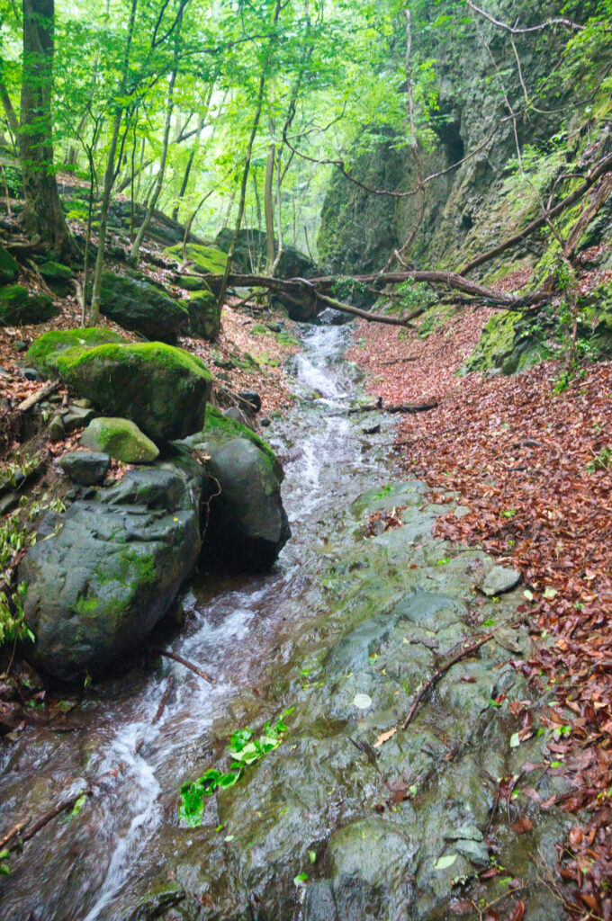 Smooth water-polished slab (nametoko) alternating with cascades on Aizawa-gawa, Japan