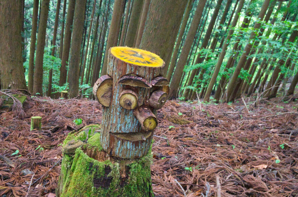 Returning to Aizawa trailhead after stream climbing on Arafune-yama, Japan