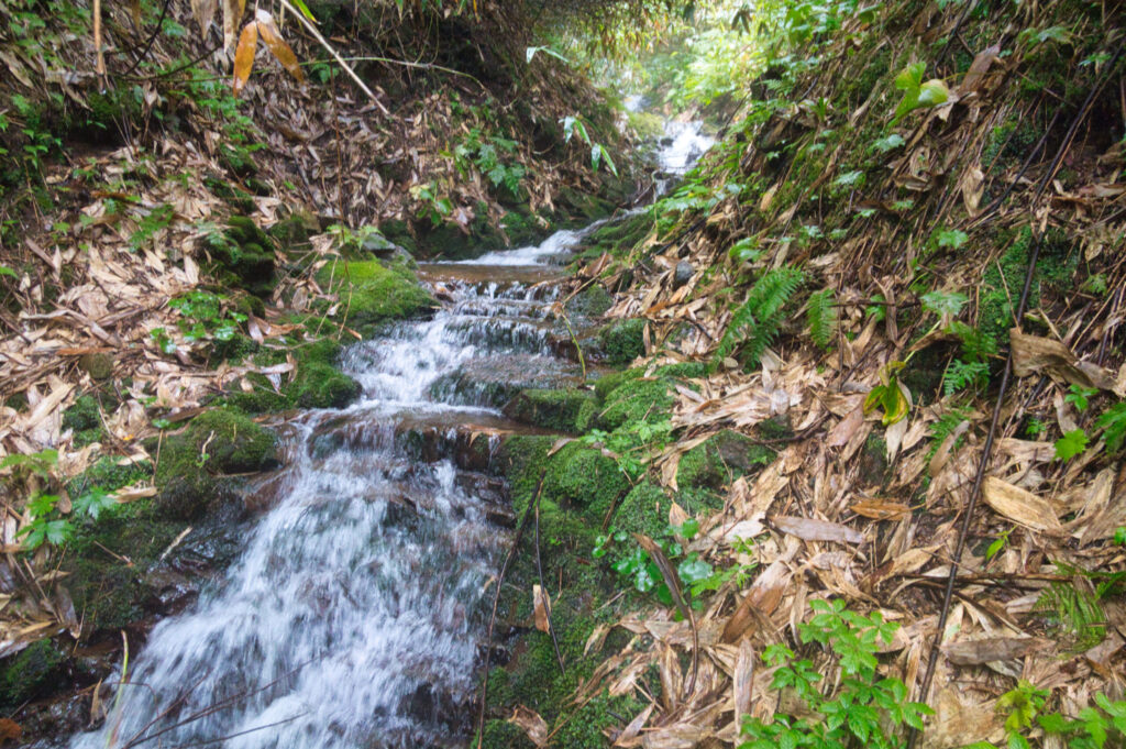 Minami-no-sawa upper stream section, Uonogawa headwaters Japan