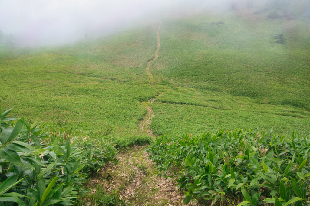Ridgeline descent in typhoon storm above Lake Nozoriko, Oku-Shiga Japan