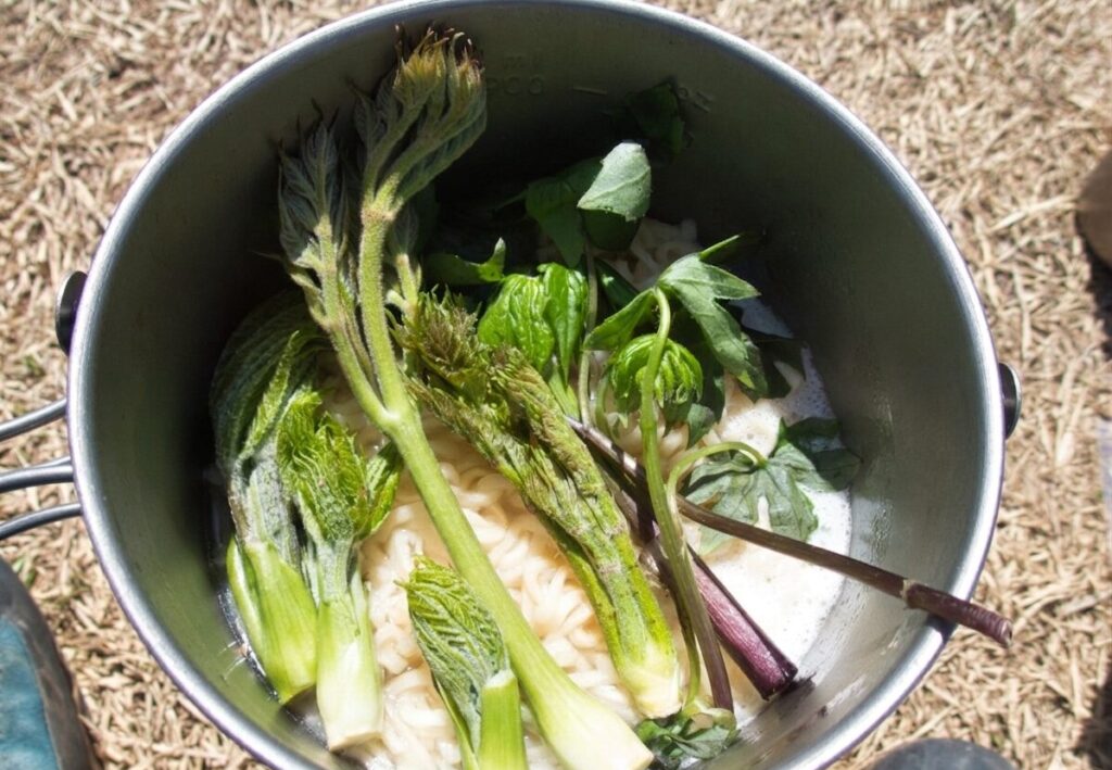 粟ヶ岳山頂で調理した、採れたての山菜をのせた自作ラーメン


Homemade ramen with freshly picked wild vegetables at the summit.