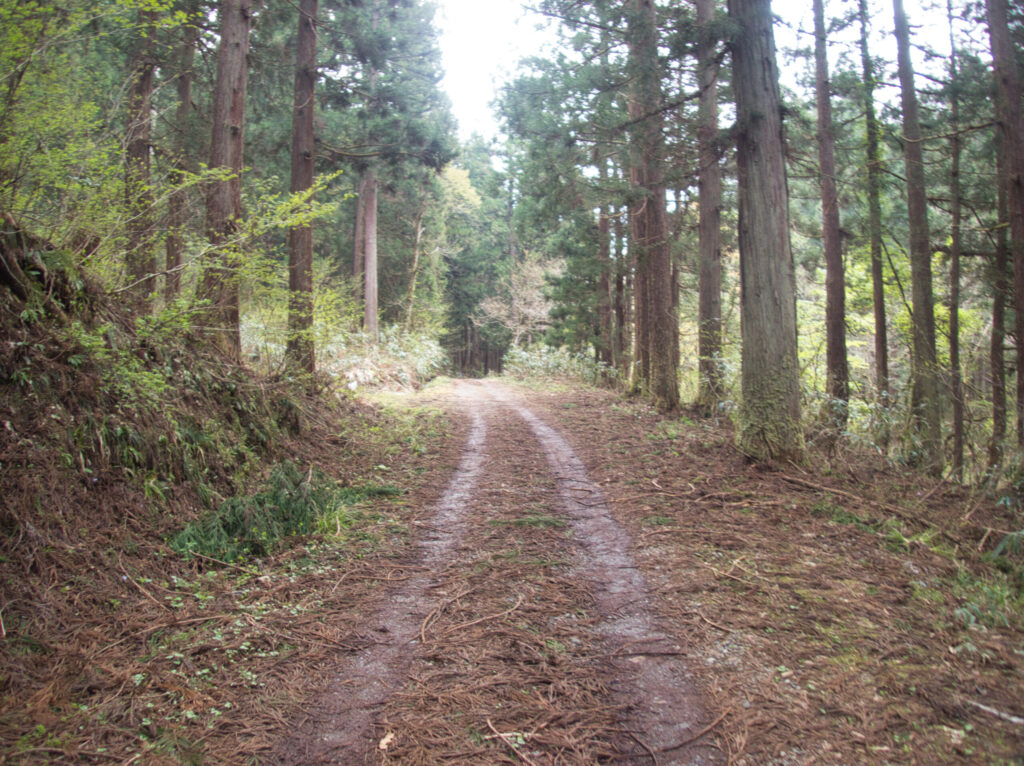 粟ヶ岳の登山口へと続く静かな林道


Quiet forest road leading to the Mt. Awagatake trailhead.