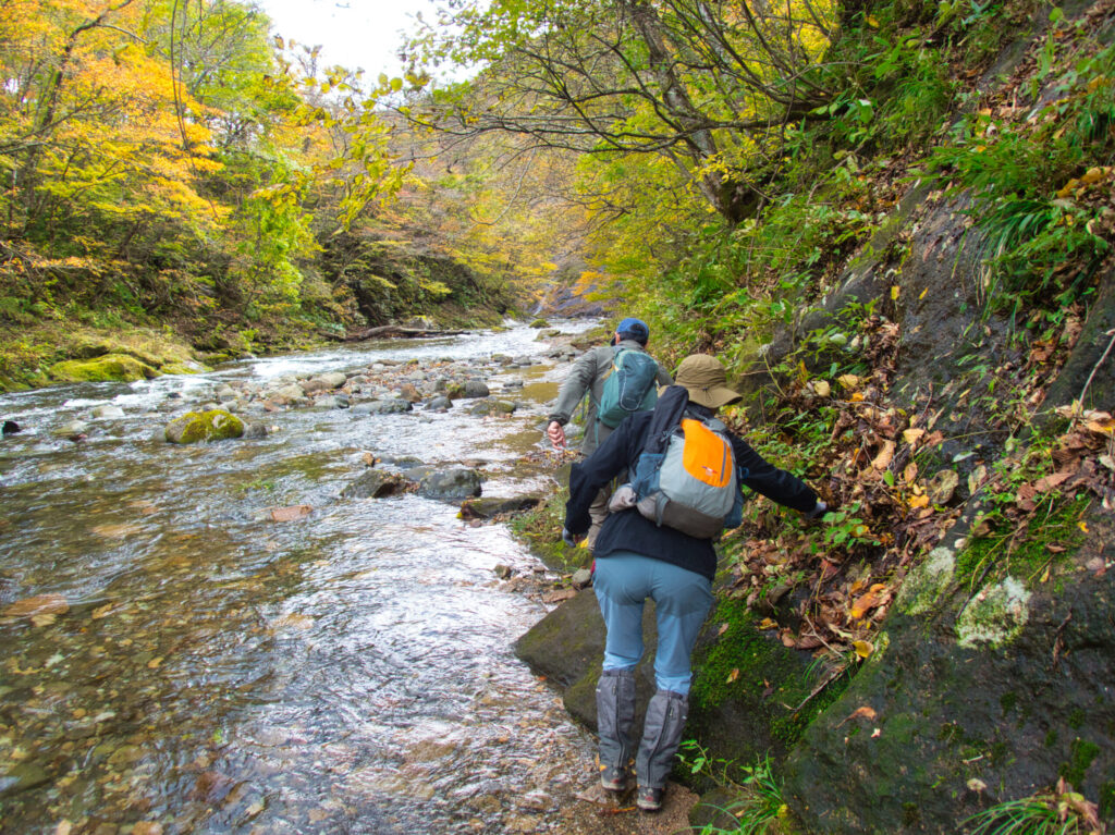 Mossy streamside trail on Sampokura-yama approach, Futakuchi Japan