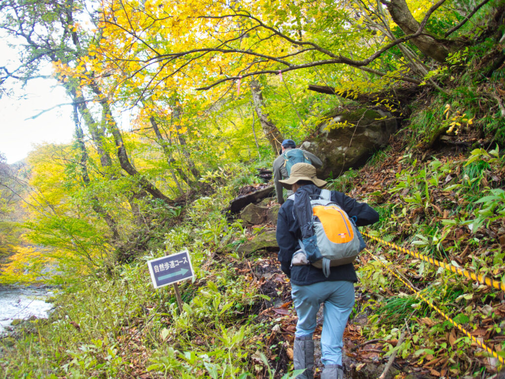 Fixed rope steep ascent on Sampokura-yama trail, Futakuchi Range