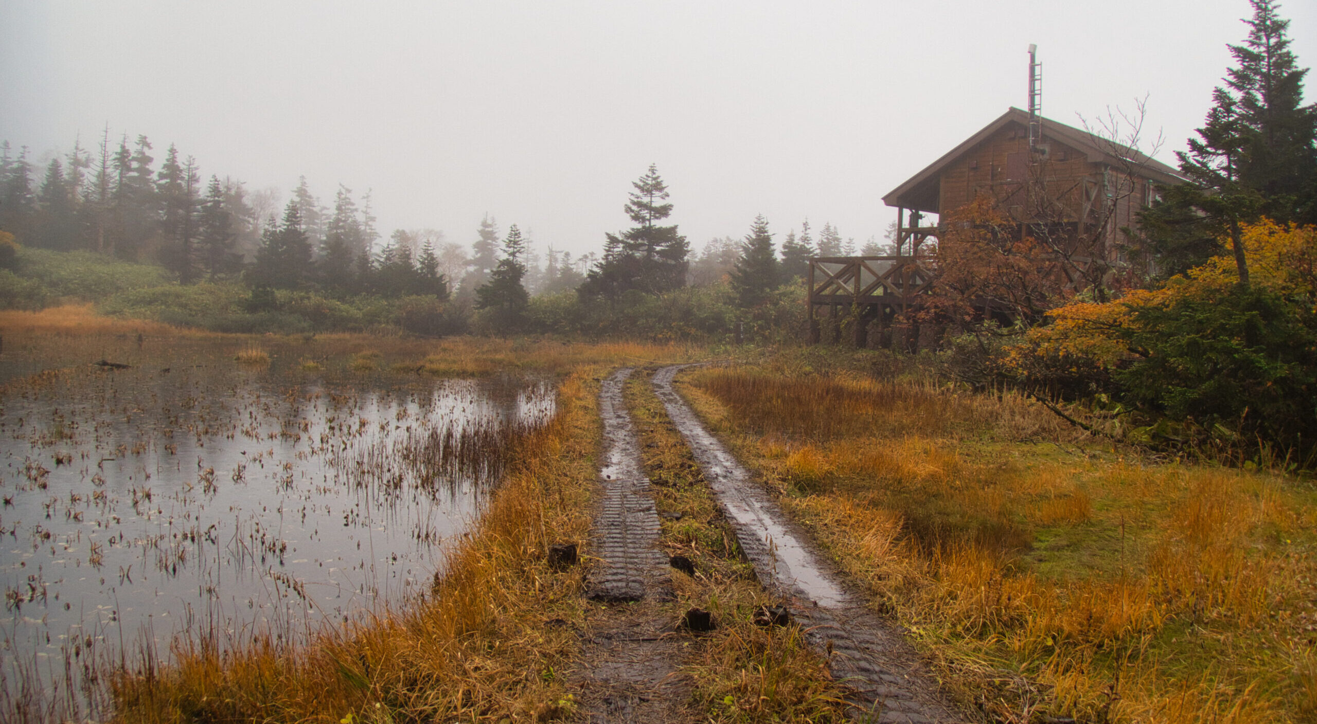 【山岳紀行】三ツ石山 ー 雨に煙る東北の秋
