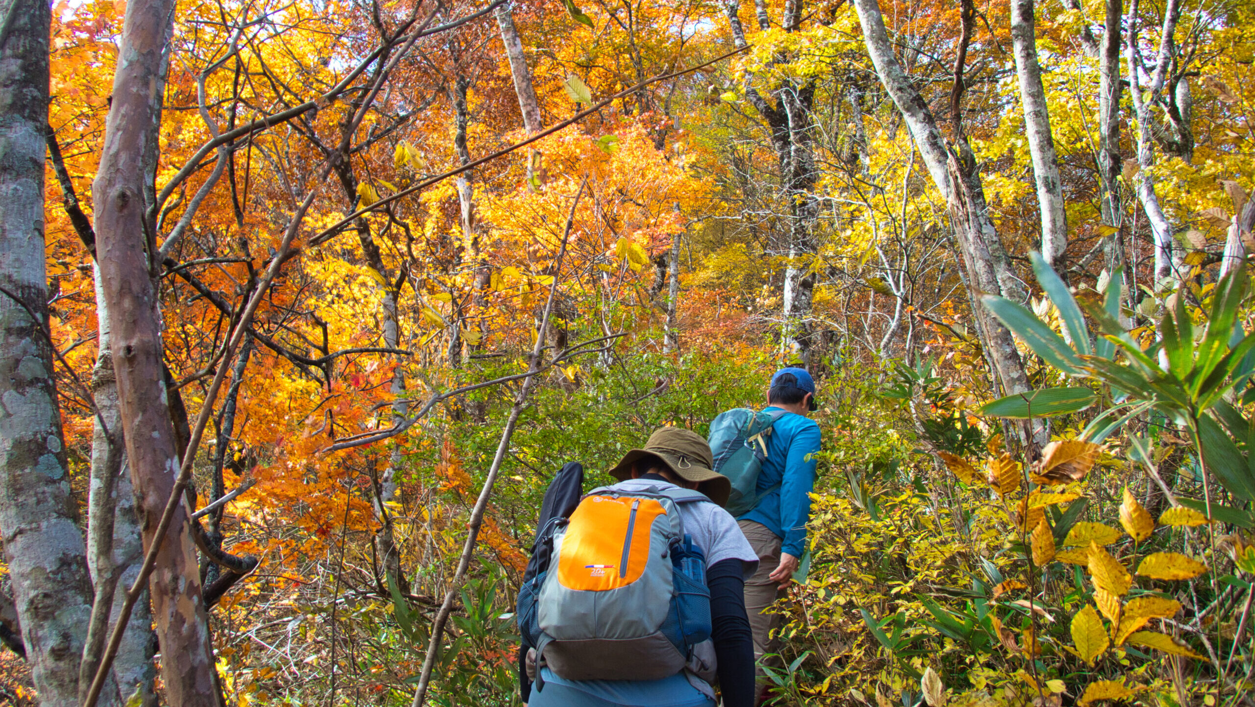 【山岳紀行】三方倉山 ー 紅葉の二口へ