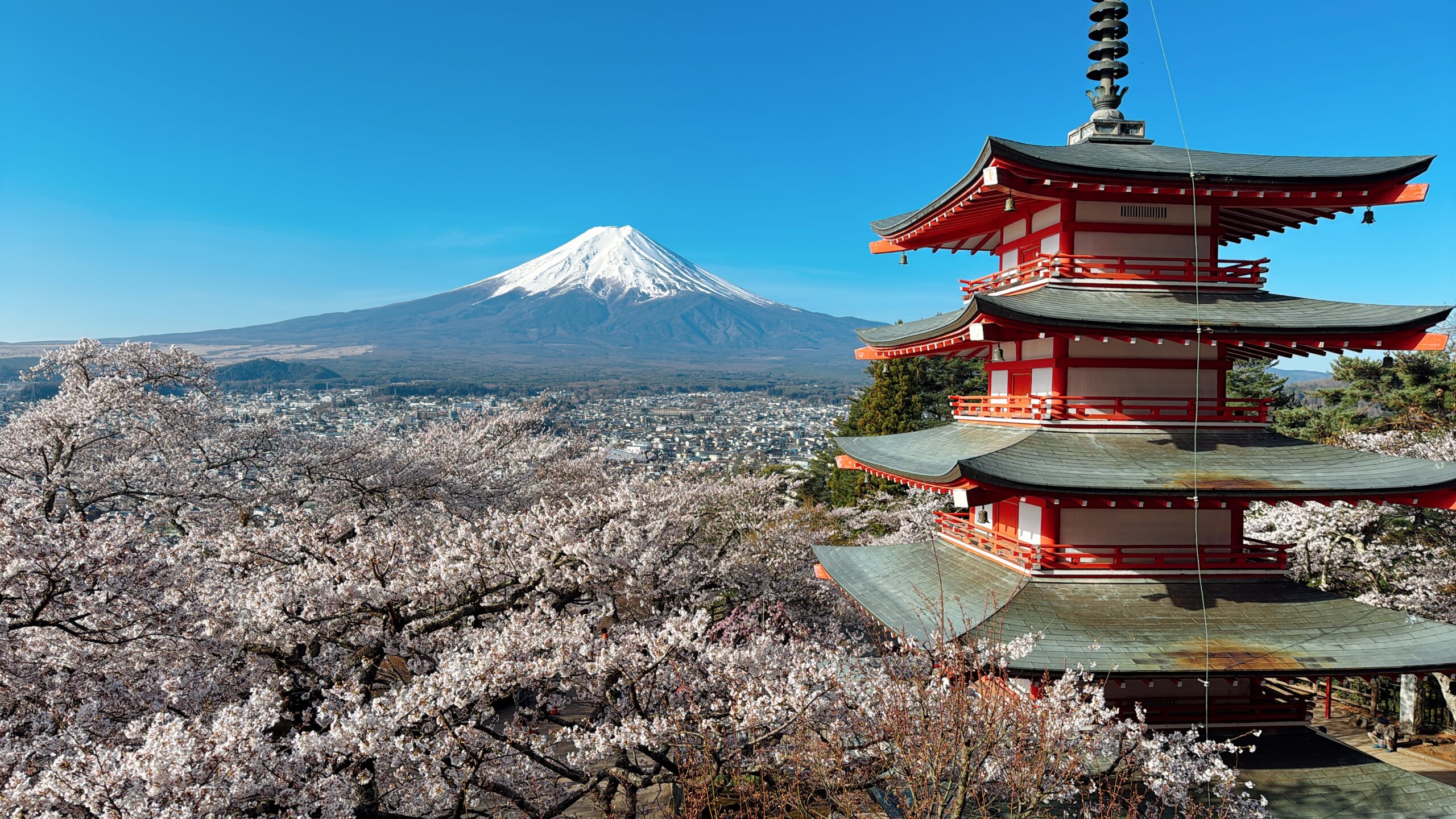 【深層考察・専門編】富士登山の遭難はなぜ揉めるのか ー 構造的矛盾と五つの論点を解剖する